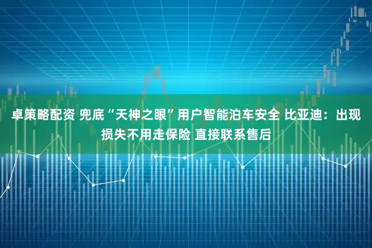 卓策略配资 兜底“天神之眼”用户智能泊车安全 比亚迪：出现损失不用走保险 直接联系售后